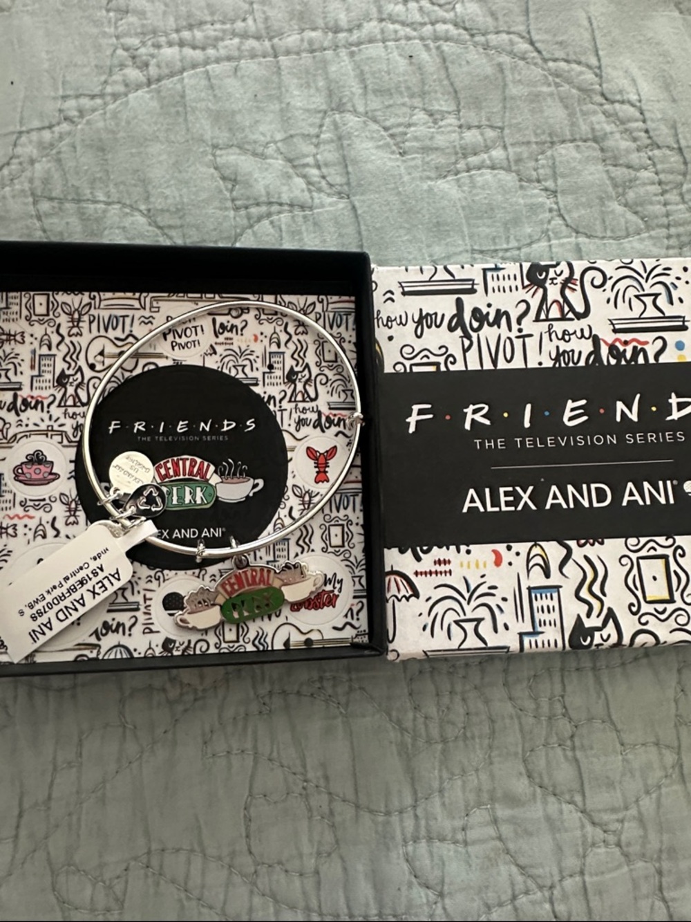 Alex and Ani Silver Bangle with Central Perk Green & Red Enamel Charm